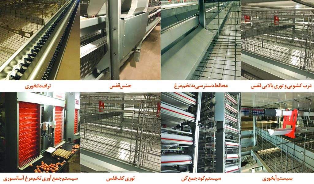 مرکز فروش تجهیزات مرغداری خوش قیمت در تهران
