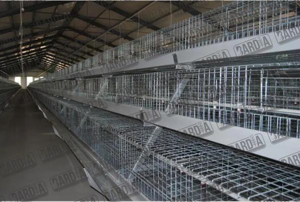 فروش با کیفیت ترین قفس مرغ تخمگذار در کشور