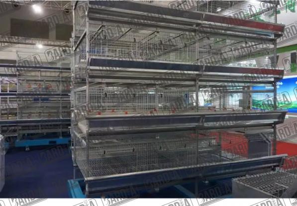 صادرات قفس مرغ تخمگذار | فروش با کیفیت ترین آنها به قیمت درب کارخانه در کشور