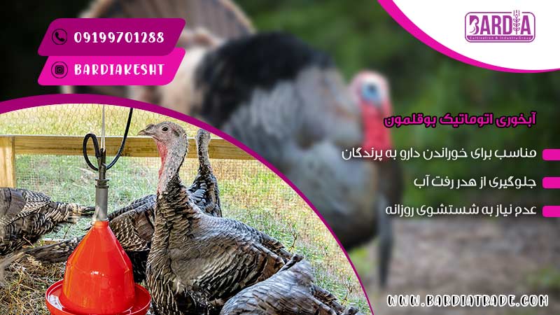 آبخوری اتوماتیک بوقلمون