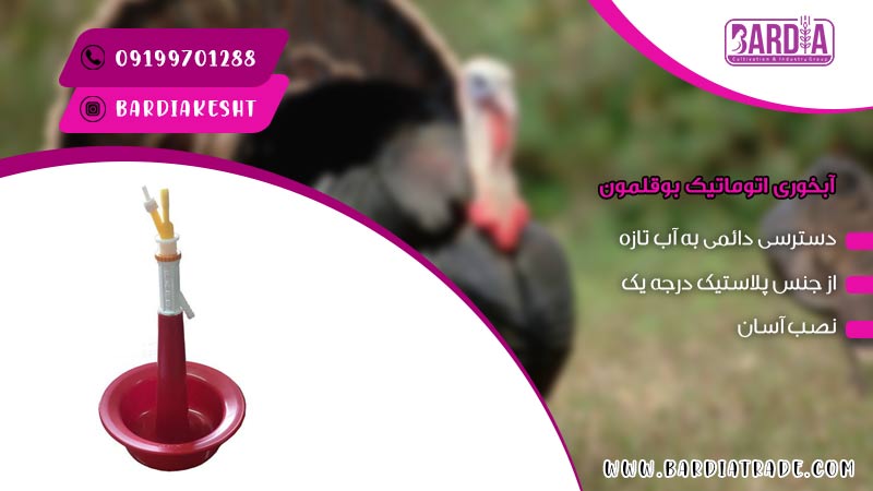 آبخوری اتوماتیک بوقلمون