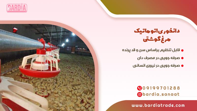 دانخوری اتوماتیک مرغ گوشتی