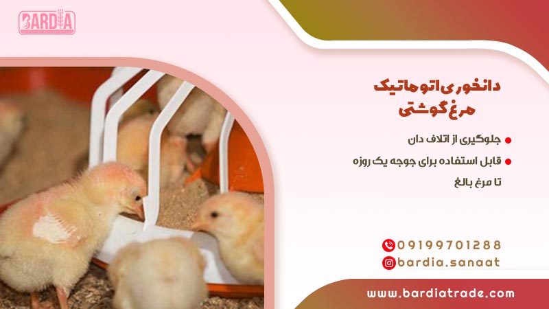 دانخوری اتوماتیک مرغ گوشتی