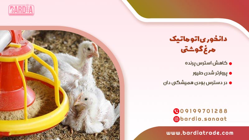 دانخوری اتوماتیک مرغ گوشتی