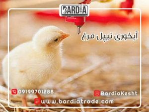 آبخوری نیپل