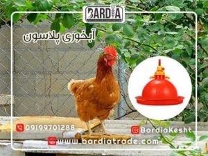 آبخوری پلاسون