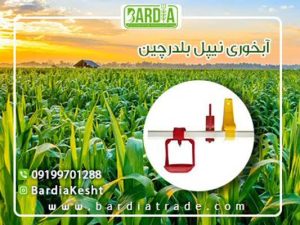 آبخوری بلدرچین