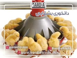 دانخوری بشقابی