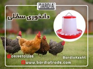 دانخوری سطلی