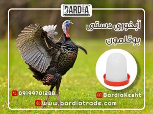 لیست قیمت آبخوری دستی بوقلمون+مشخصات و عکس