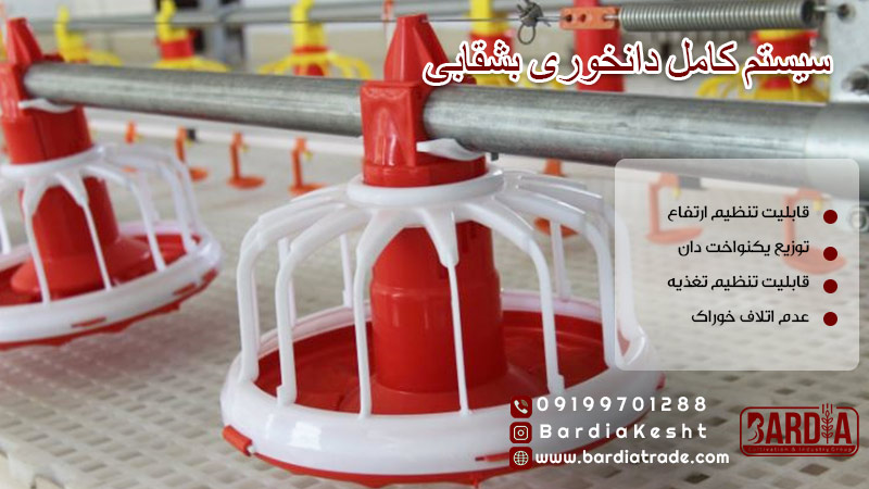 دانخوری بشقابی