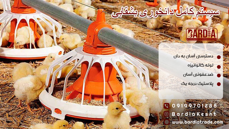 دانخوری بشقابی