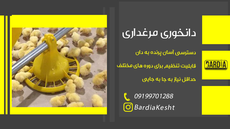 دانخوری مرغداری
