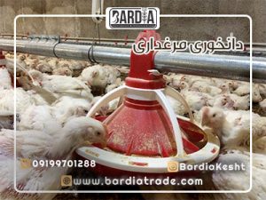 دانخوری بشقابی