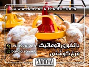 دانخوری اتوماتیک مرغ گوشتی