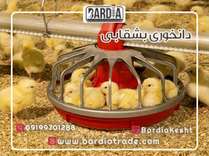 دانخوری بشقابی