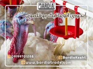 آبخوری اتوماتیک بوقلمون