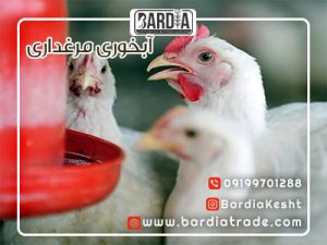 روند صادرات آبخوری دستی و اتوماتیک به عراق سرعت میگیرد.