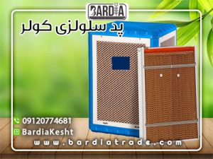 پد کولر