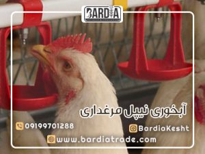 آبخوری نیپل کاسه ای