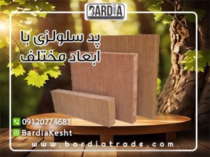 پد سلولزی با ابعاد مختلف