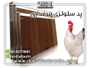 پد سلولزی مرغداری