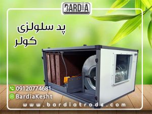 پد سلولزی کولر