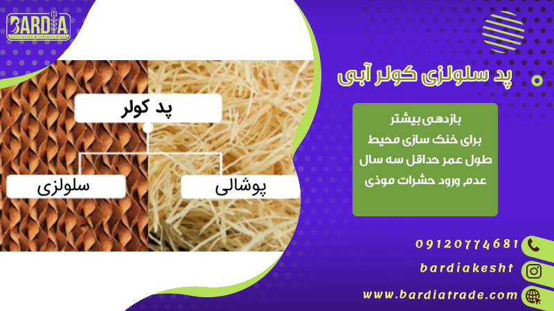 پد سلولزی کولر