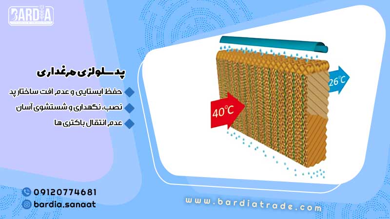 پد سلولزی مرغداری