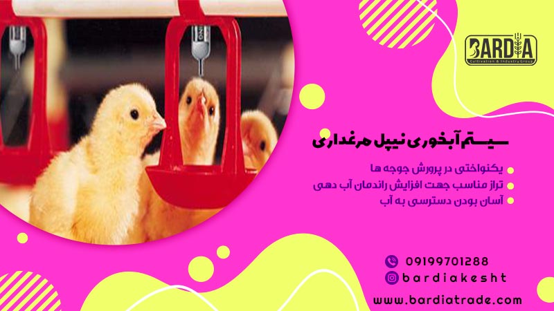 آبخوری نیپل مرغداری 