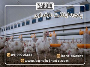 پنجره اینلنت