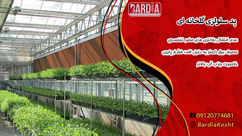 پد سلولزی گلخانه