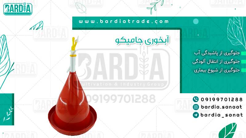 آبخوری جامیکو