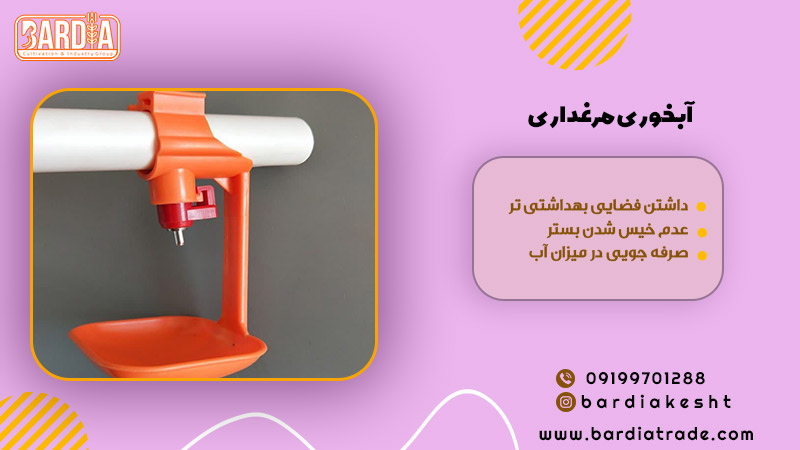 آبخوری مرغداری