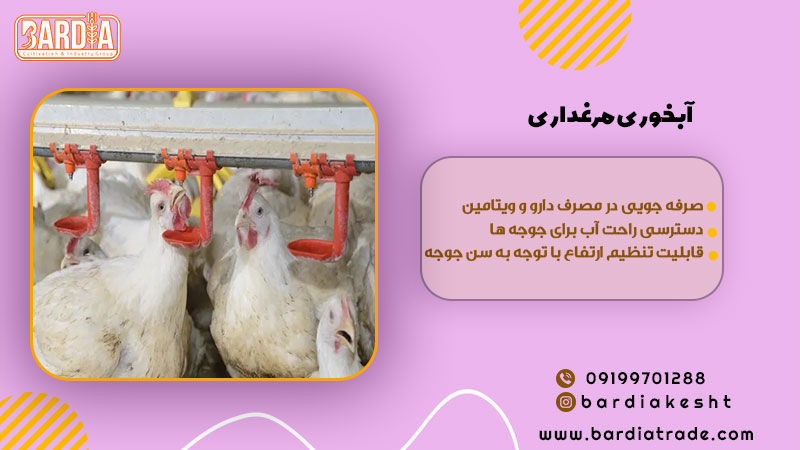 ابخوری مرغداری