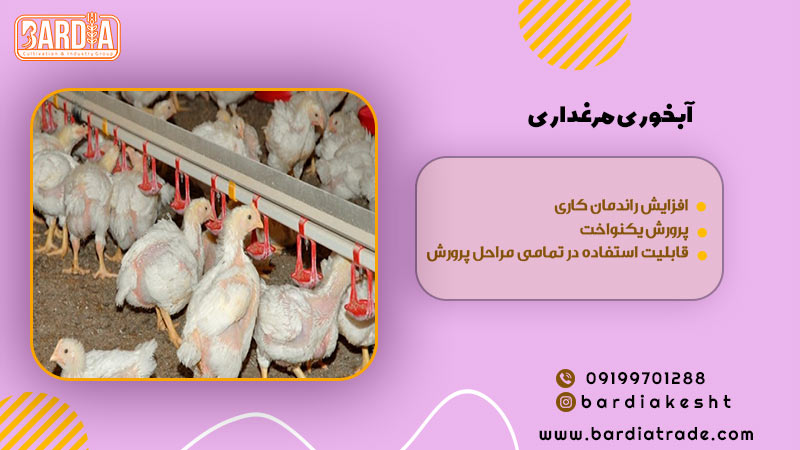 ابخوری مرغداری