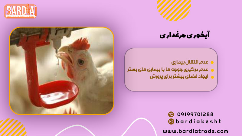 ابخوری مرغداری
