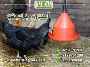 آبخوری جامیکو