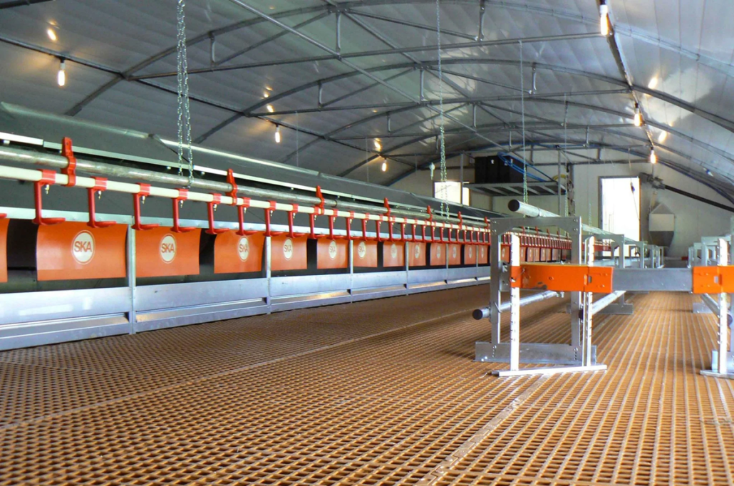 خرید عمده لوازم مرغداری