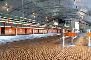 خرید عمده لوازم مرغداری