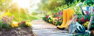 نمایندگی فروش سموم