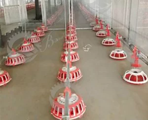 قیمت دانخوری مرغ گوشتی