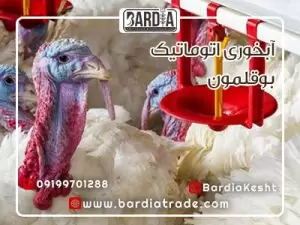 آبخوری اتوماتیک بوقلمون